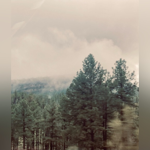 Meet the Posher ❤️ - Picture 11 of 12